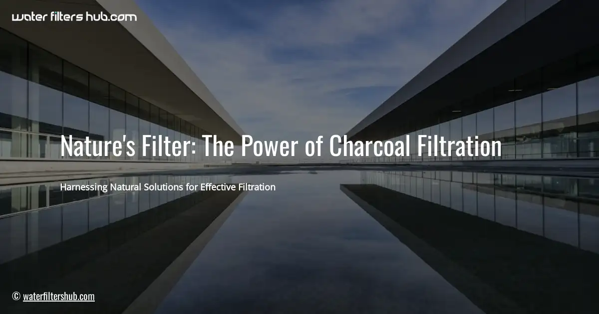 Nature’s Filter: The Power of Charcoal Filtration
