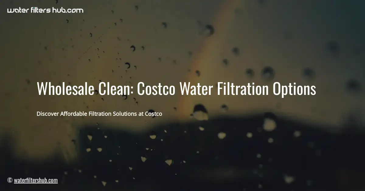 Wholesale Clean: Costco Water Filtration Options