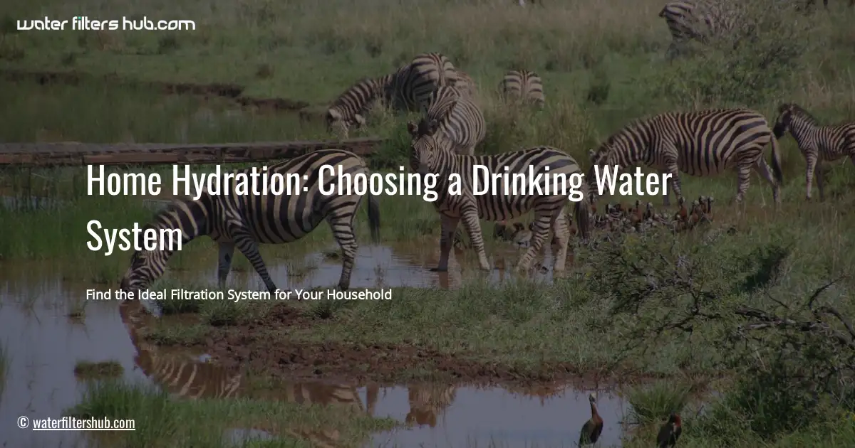 Home Hydration: Choosing a Drinking Water System