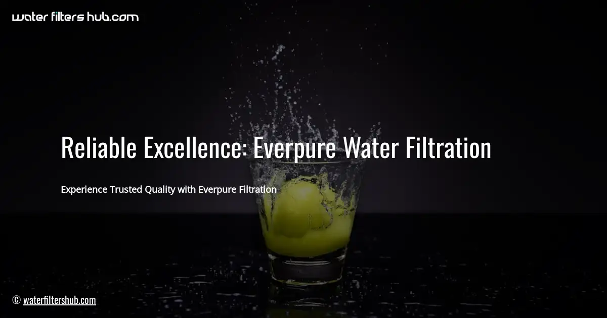 Reliable Excellence: Everpure Water Filtration