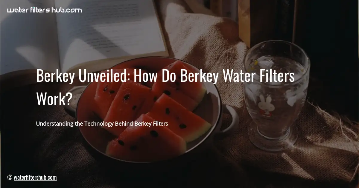 Berkey Unveiled: How Do Berkey Water Filters Work?