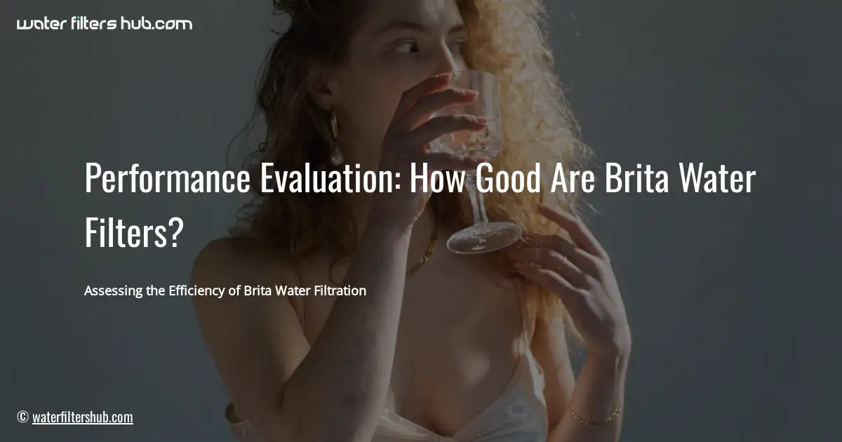 Performance Evaluation: How Good Are Brita Water Filters?