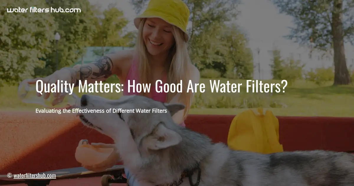 Quality Matters: How Good Are Water Filters?