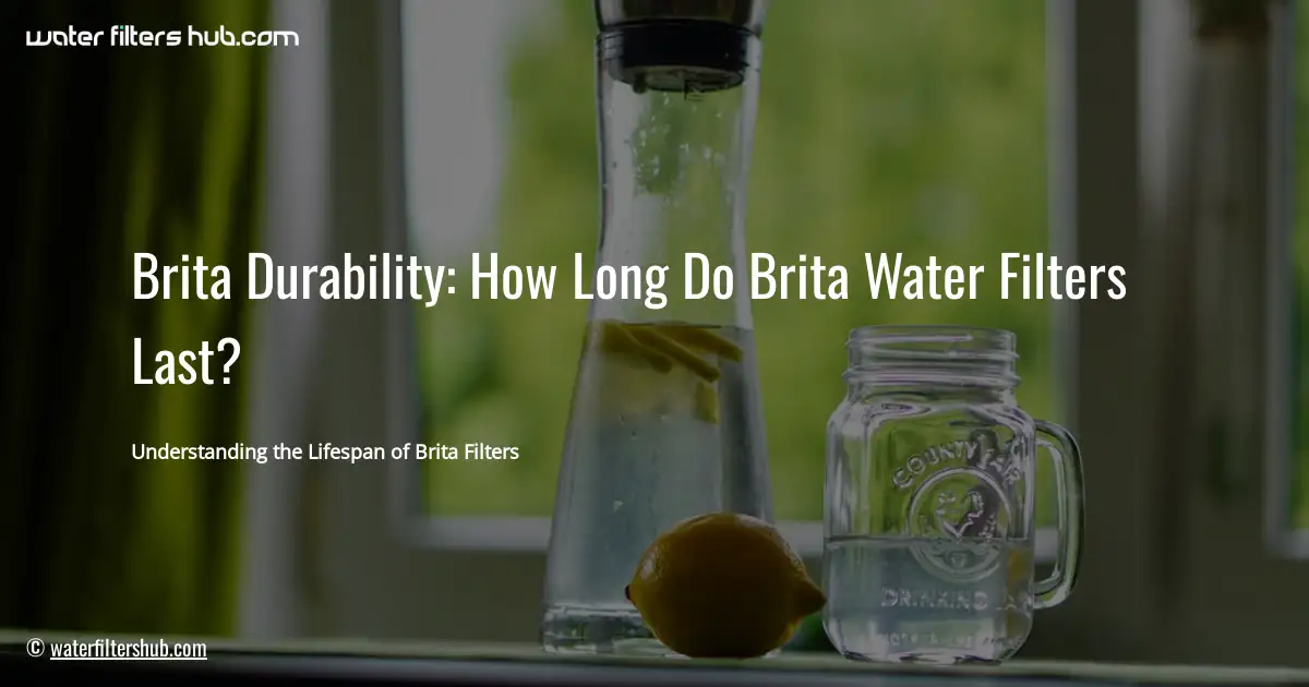 Brita Durability: How Long Do Brita Water Filters Last?