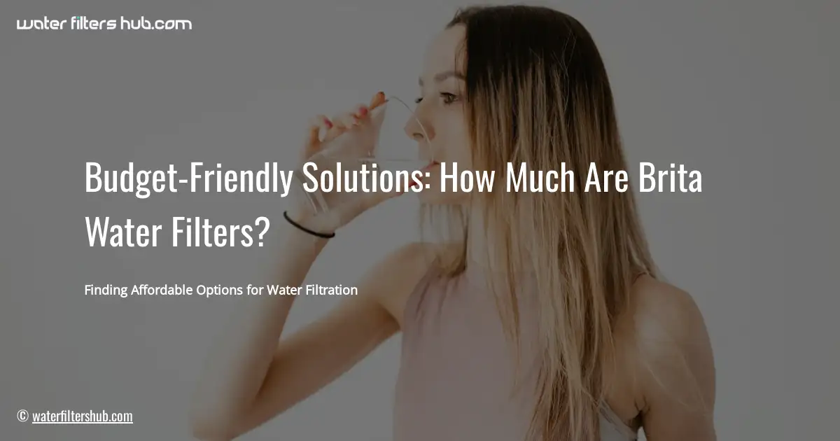 Budget-Friendly Solutions: How Much Are Brita Water Filters?