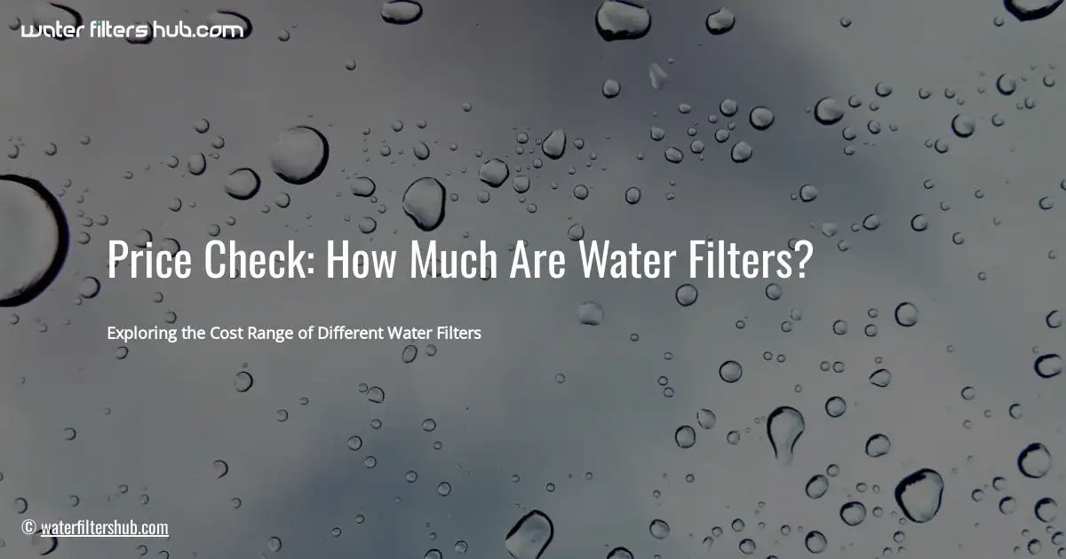 Price Check: How Much Are Water Filters?