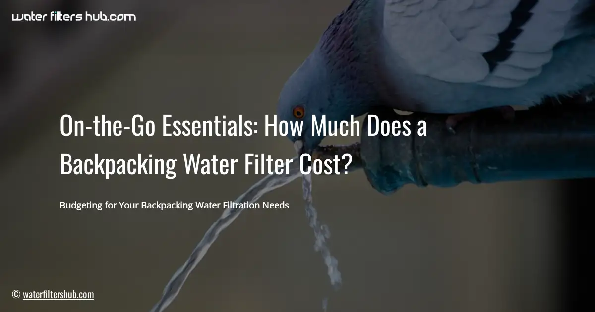 On-the-Go Essentials: How Much Does a Backpacking Water Filter Cost?