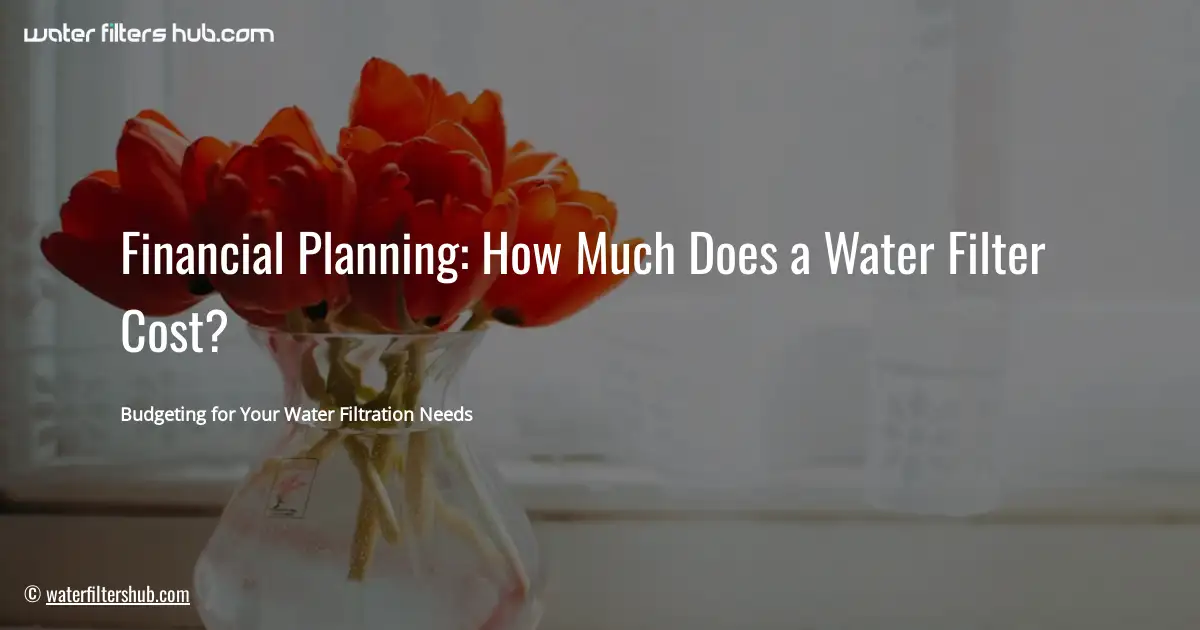 Financial Planning: How Much Does a Water Filter Cost?