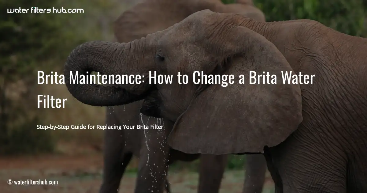 Brita Maintenance: How to Change a Brita Water Filter