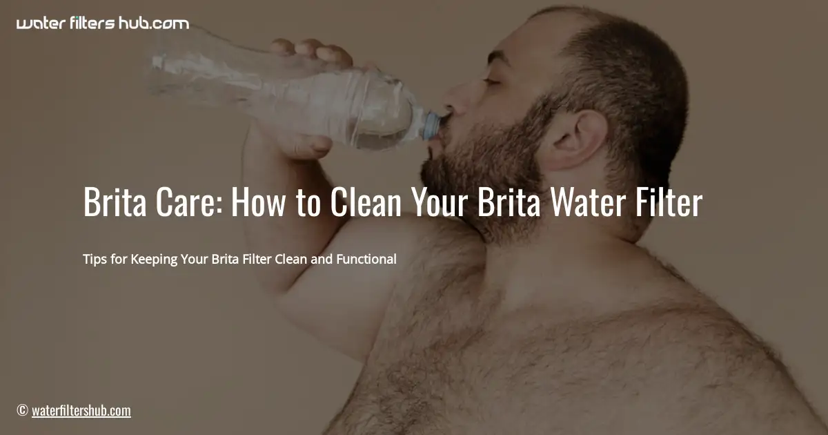 Brita Care: How to Clean Your Brita Water Filter