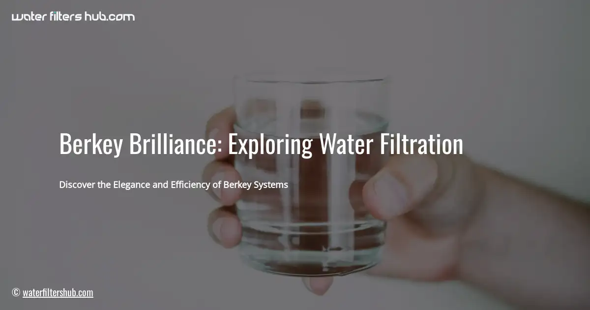 Berkey Brilliance: Exploring Water Filtration