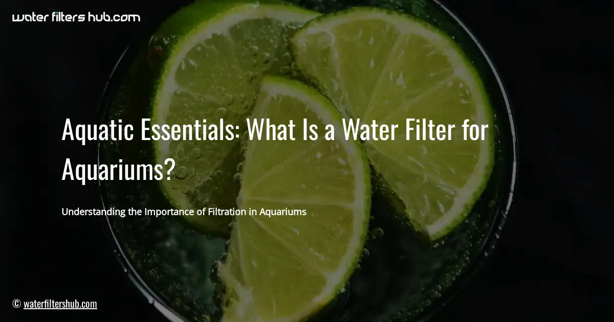 Aquatic Essentials: What Is a Water Filter for Aquariums?